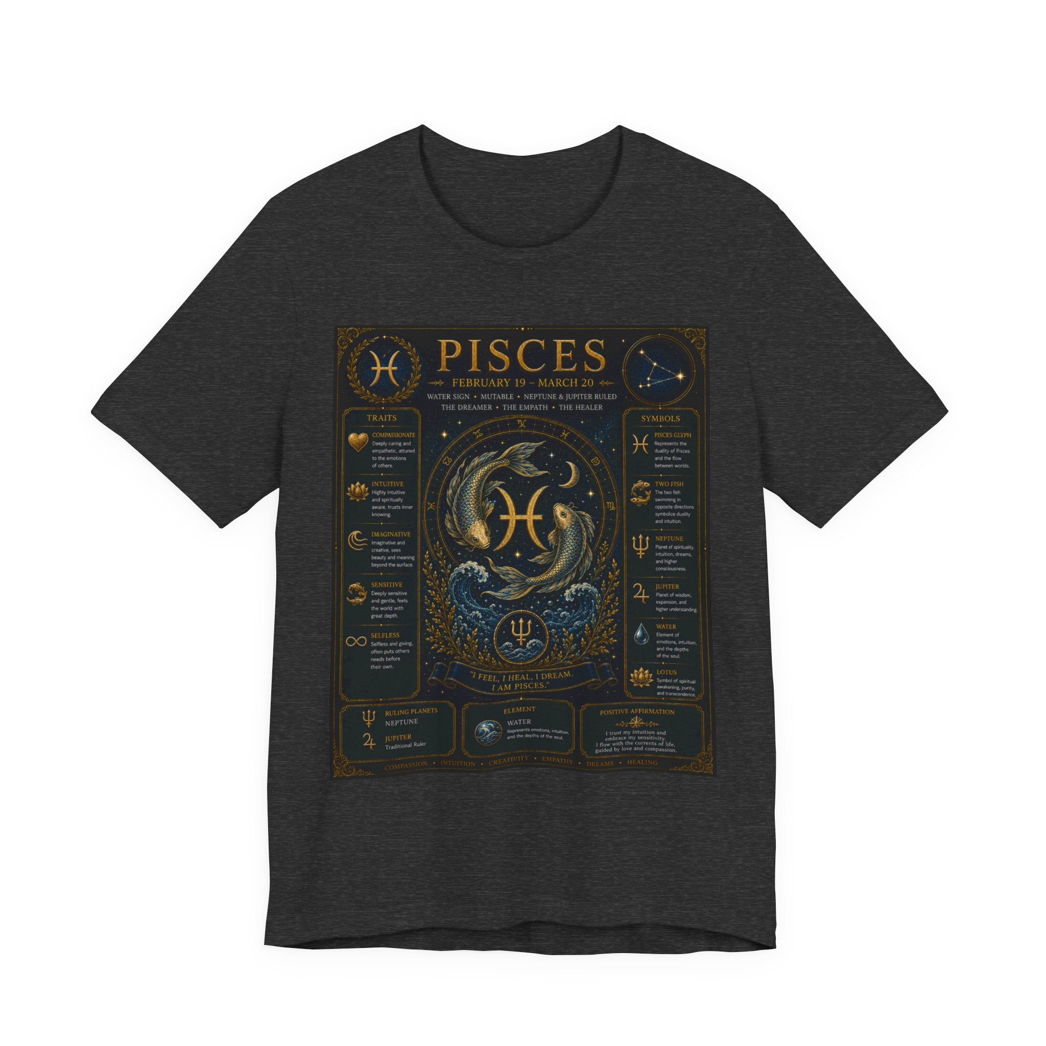 Pisces Zodiac T-Shirt — Pisces Traits Poster Tee | Astrology Gift