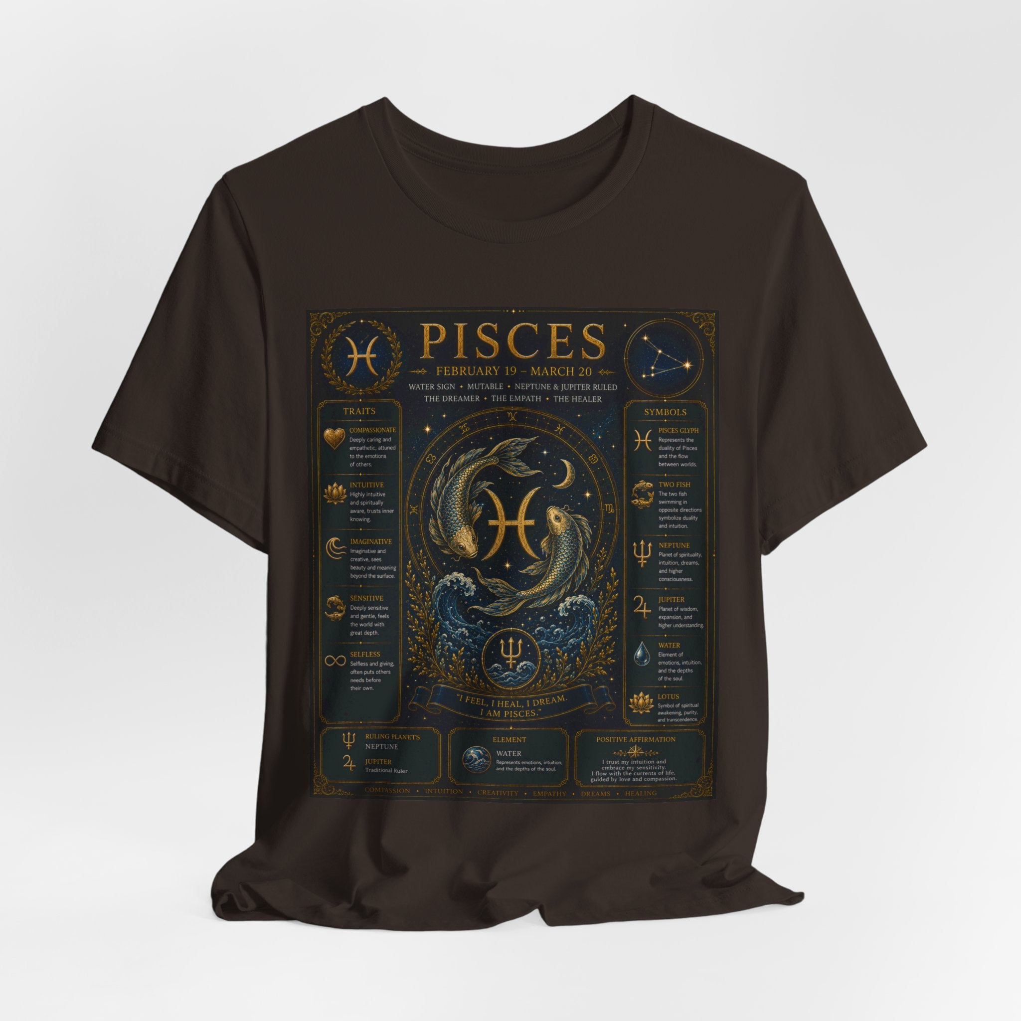 Pisces Zodiac T-Shirt — Pisces Traits Poster Tee | Astrology Gift