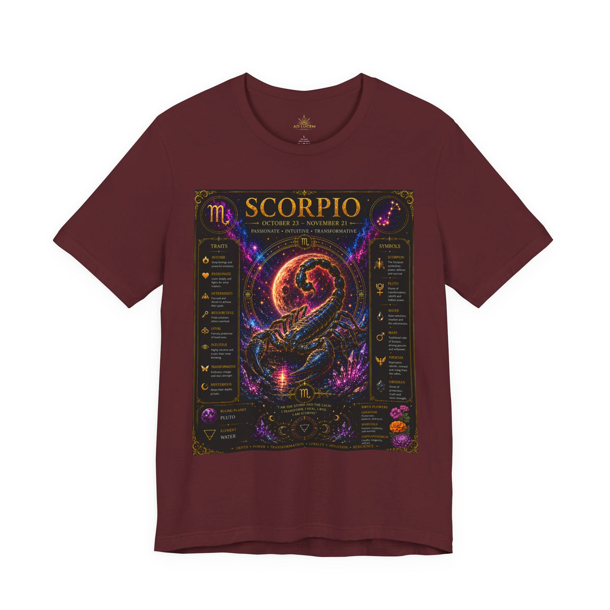 Scorpio Zodiac T-Shirt — Astrology Scorpion Birthdate Traits Tee
